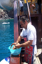 poissons tr�s frais